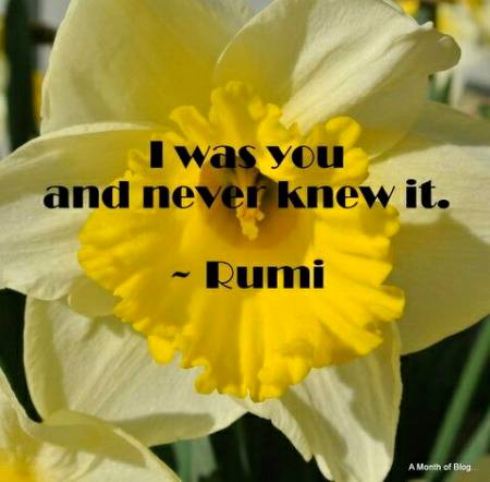 RUMI'S WORDS