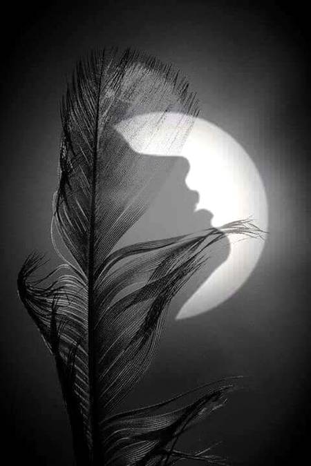 Photography 💕💕