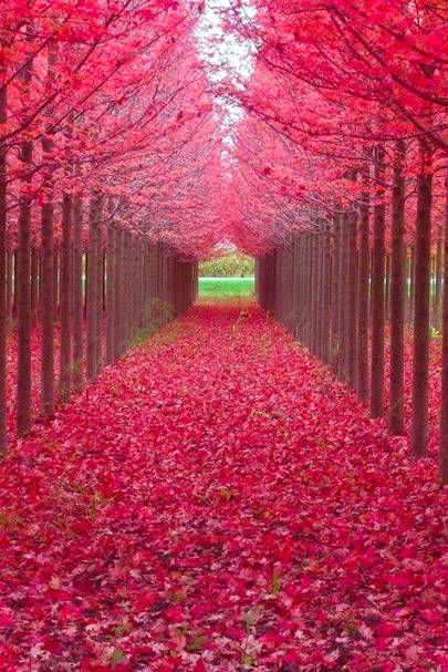 Beauty of nature