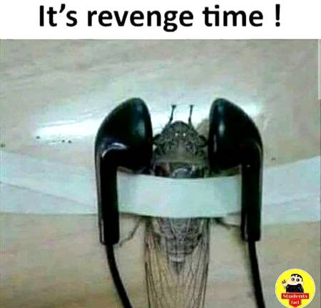 Revenge....👻