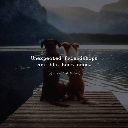 I hv unexpected friendships....😑❤