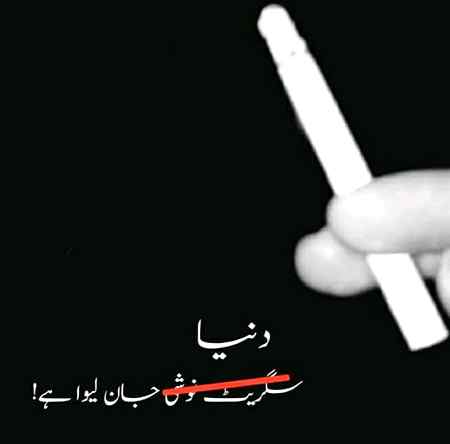 "This Sigrette are Kills Lungs"