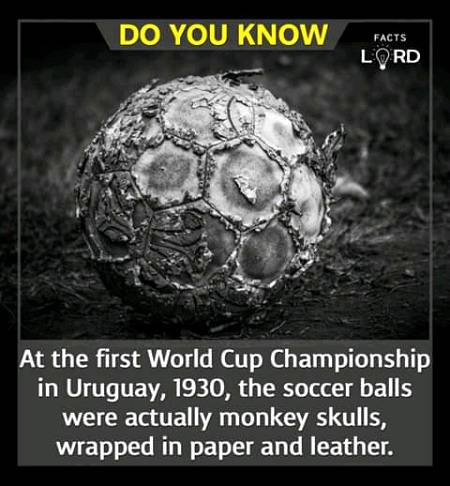 Unbelievable facts 💥💥