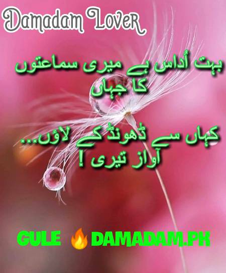 gule💕Damadam Lover🔥