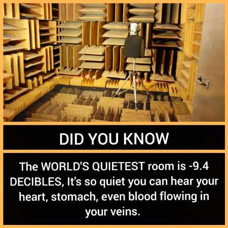 DID YOU KNOW??