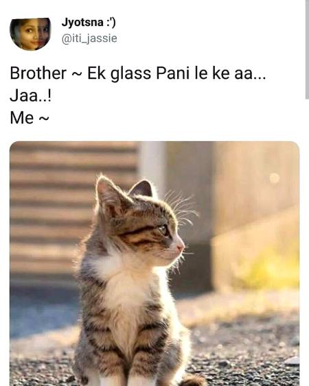 Saffa sahiii