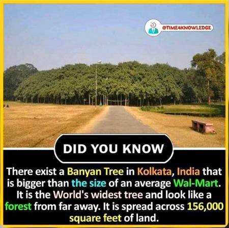 DID YOU KNOW??