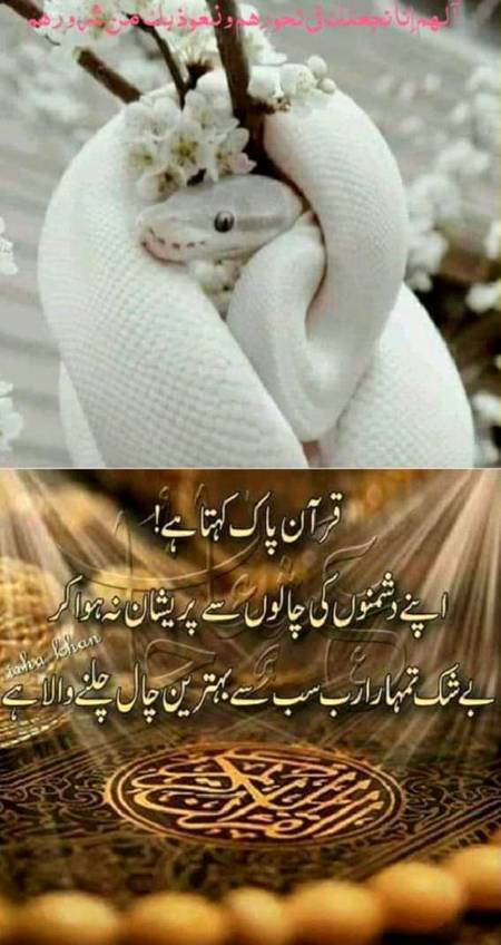Assalam o alaikum kesy ho