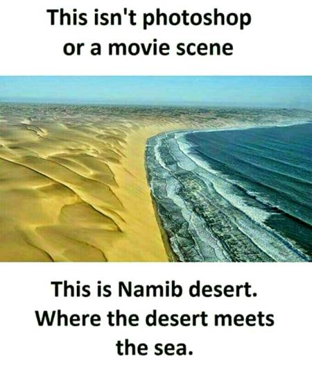 Namib desert