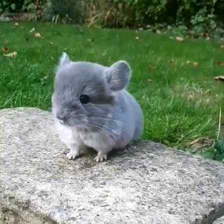 😍💞💞 How Cute 💞💞😍