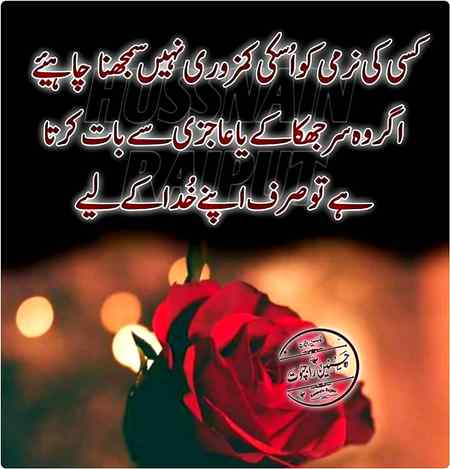 hlo friends