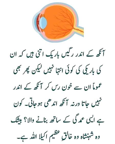 Yup beshak😗😗