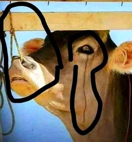 عقیدوں کا حساب کتاب بعد میں کر لیں گے نادان آؤ پہلے یہ تو ثابت کر لیں کہ انسان ہیں ہم