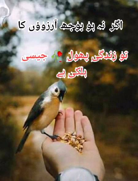Bilkul 💯💯😇⁦👍🏻⁩