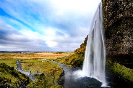Beautiful nature