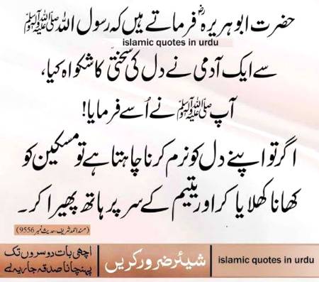 Shear zaror karein.