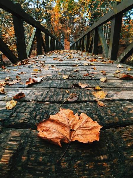 Photography😍