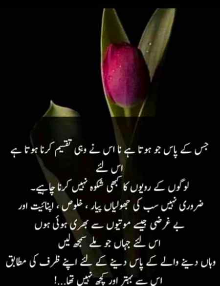 Asslam-o-Alikum everyone