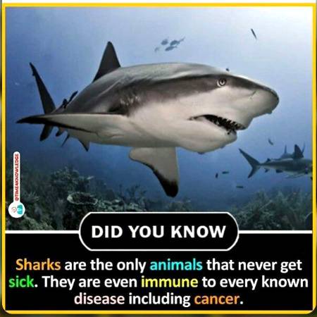 Psychology Facts