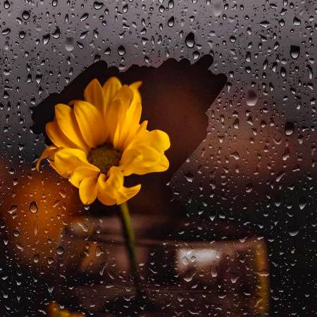 
ہماری قوم ہر دوسری چیز کو قیامت کی نشانی کہہ دیتی ہے 
لیکن مجال ہے کہ اتنی قیامت کی نشانیاں دیکھ کر بھی جو ہم نے اپنا قبلہ درست کیا ہو!

