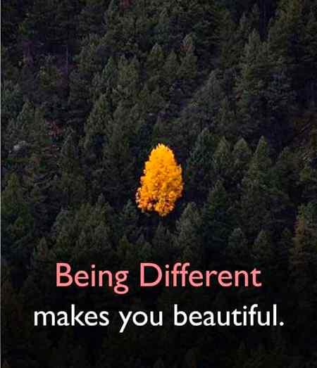 Dont try to copy others be yourself because you have your own self respect and identity.@Amna Malik.yes i am different😛😜