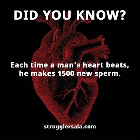 Did you know
