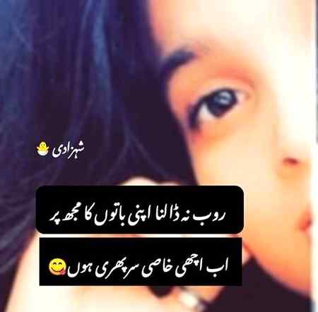 😊❣️Dazzling Mushk❣️😊