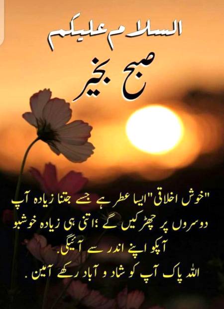 Hmm khush rahn sb🙂