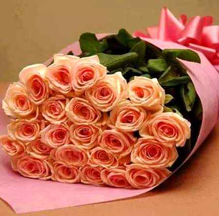 Flower❤❤✌✌