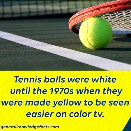 Did you know?