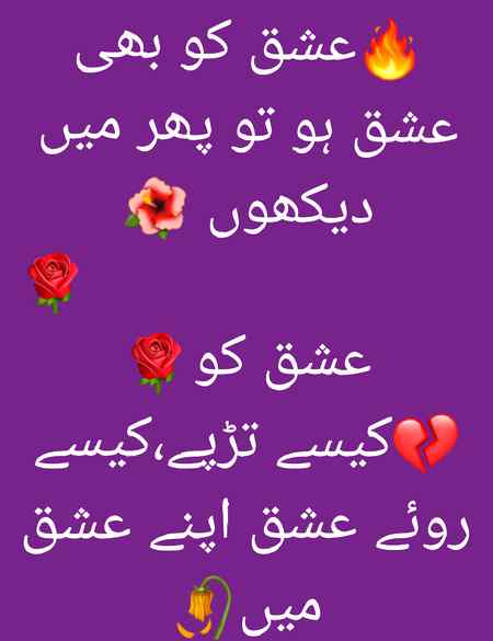 عشق کو عشق ہو تو