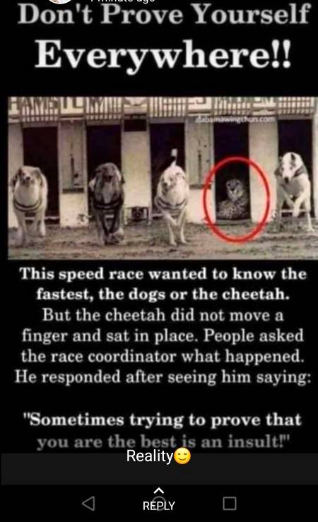 Don't prove yourself