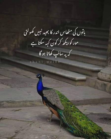 Bilqul Sahi baat hai