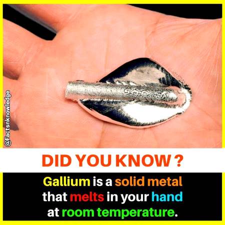 DID YOU KNOW??