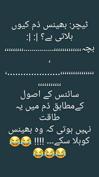 Jokes and memes