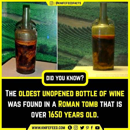 DID YOU KNOW??