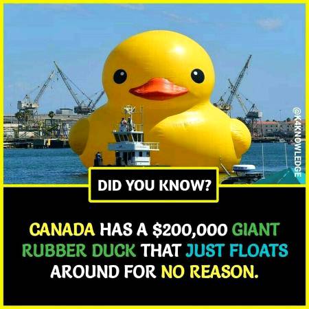 Did you know