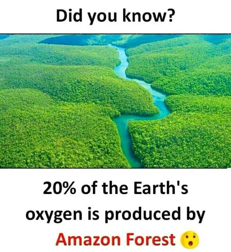 DID YOU KNOW??
