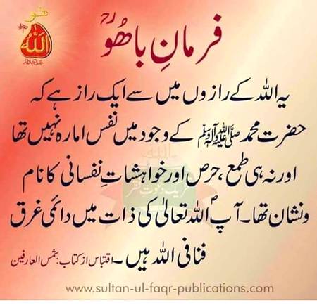 🌹🌹🌹صلی اللہ علی حبیبہ محمد نور من نوراللہ وعلی آلہ واہل بیتہ وعترتہ وازواجہ وصحبہ وجدہ وذریتہ و کل امتہ وبارک وسلم کثیراً کثیرا و دائماً ابدا 🌹🌹🌹
