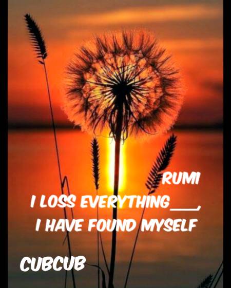 Rumi's words