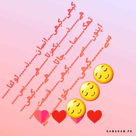 🌹❤🌹🌹🌹❤🌹❤🌹🌹❤🌹❤🌹🌹❤🌹🌹