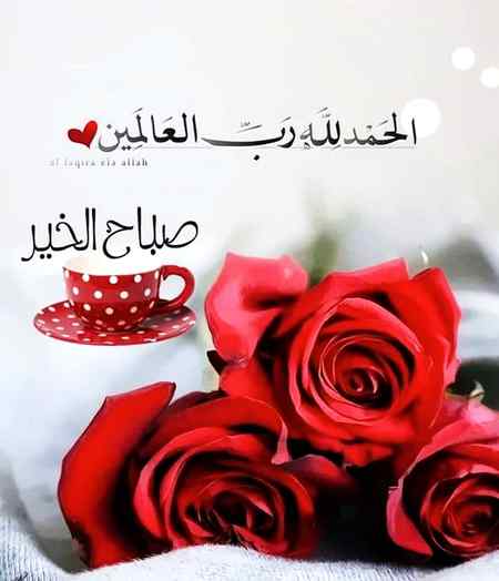 السَّلاَمُ عَلَيكُم وَرَحمَةُ اللهِ 

اور جب تم کو کوئی دعا دے 
تو جواب میں تم اس سے بہتر
 کلمے سے اسے دعا دو یا انہیں
 لفظوں سے دعا دو بےشک خدا
 ہر چیز کا حساب لینے والا ہے .

سورة النساء:86