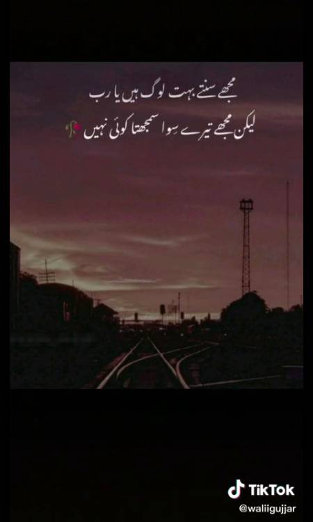 Bilkul g only one☝❤