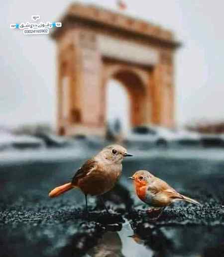 *لوگوں کو اپنے مسائل کے بارے میں مت بتائیں ان میں 'اَسی' فیصد کو پرواہ نہي ہے اور "بیس" فیصد خوش ہیں کہ آپ کو پریشانی ہوئی ھے.....!!!!*
