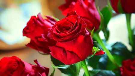 Assalam o Alaikum Goooood morning