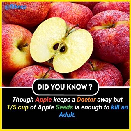 DID YOU KNOW??