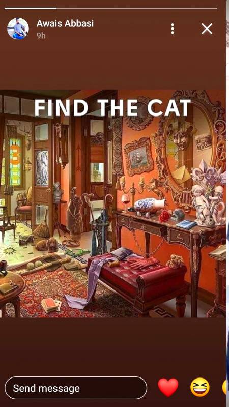 find the cat