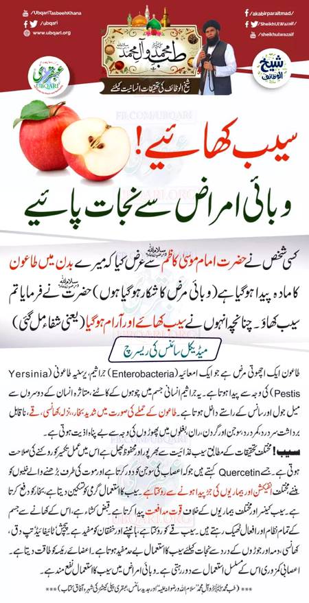 Apple k faidy