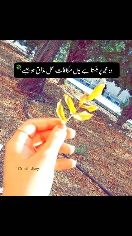 *زمین عقلمندوں سے تو بھر گئی💔🥀*



مگر درد مندوں سے خالی ہے🌹
🥀