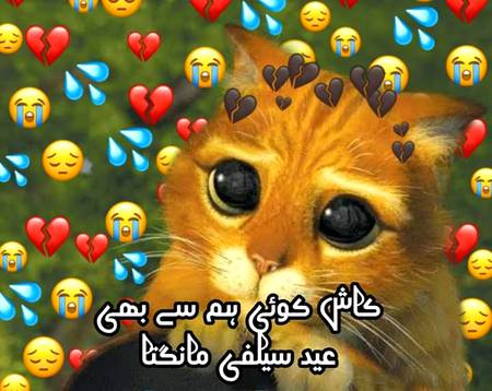 Gul ko aati sada baahr ae kash